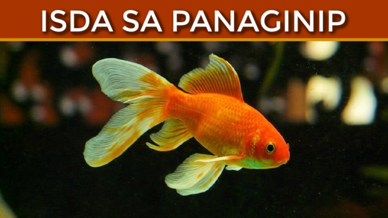 Isda Sa Panaginip At Kahulugan Nito Pakbet Tv 2684